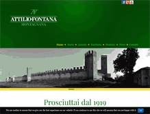 Tablet Screenshot of fontanaprosciutti.it